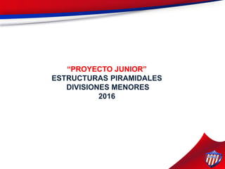 “PROYECTO JUNIOR”
ESTRUCTURAS PIRAMIDALES
DIVISIONES MENORES
2016
 