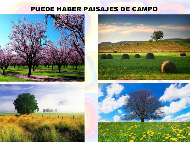 PUEDE HABER PAISAJES DE CAMPO 