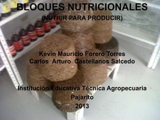 BLOQUES NUTRICIONALES
(NUTRIR PARA PRODUCIR)

Kevin Mauricio Forero Torres
Carlos Arturo Castellanos Salcedo

Institución Educativa Técnica Agropecuaria
Pajarito
2013

 