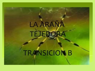 LA ARAÑA  TEJEDORA           TRANSICION B           