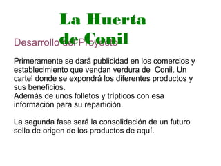 Desarrollo del Proyecto
Primeramente se dará publicidad en los comercios y
establecimiento que vendan verdura de Conil. Un
cartel donde se expondrá los diferentes productos y
sus beneficios.
Además de unos folletos y trípticos con esa
información para su repartición.
La segunda fase será la consolidación de un futuro
sello de origen de los productos de aquí.
La Huerta
de Conil
 