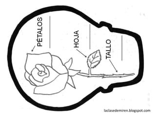 laclasedemiren.blogspot.com
 