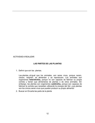 ACTIVIDAD A REALIZAR

LAS PARTES DE LAS PLANTAS

1. Definir que son las plantas.
Las plantas, al igual que los animales, son seres vivos, porque nacen,
crecen, respiran, se alimentan y se reproducen. Los animales son
organismos heterótrofos, porque no son capaces de fabricar su propia
comida y tienen que alimentarse de plantas o de otros animales. Sin
embargo, las plantas son organismos autótrofos, porque son capaces de
fabricar la comida que necesitan utilizando la energía del Sol. ¡Las plantas
son los únicos seres vivos que pueden producir su propio alimento!
2. Buscar en Encarta las parte de la planta

12

 