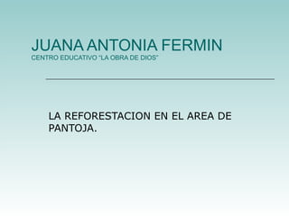 JUANA ANTONIA FERMIN CENTRO EDUCATIVO “LA OBRA DE DIOS” LA REFORESTACION EN EL AREA DE PANTOJA. 