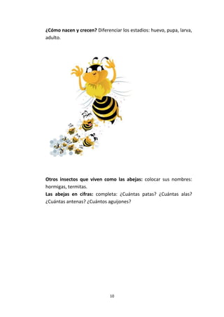 10
¿Cómo nacen y crecen? Diferenciar los estadios: huevo, pupa, larva,
adulto.
Otros insectos que viven como las abejas: colocar sus nombres:
hormigas, termitas.
Las abejas en cifras: completa: ¿Cuántas patas? ¿Cuántas alas?
¿Cuántas antenas? ¿Cuántos aguijones?
 