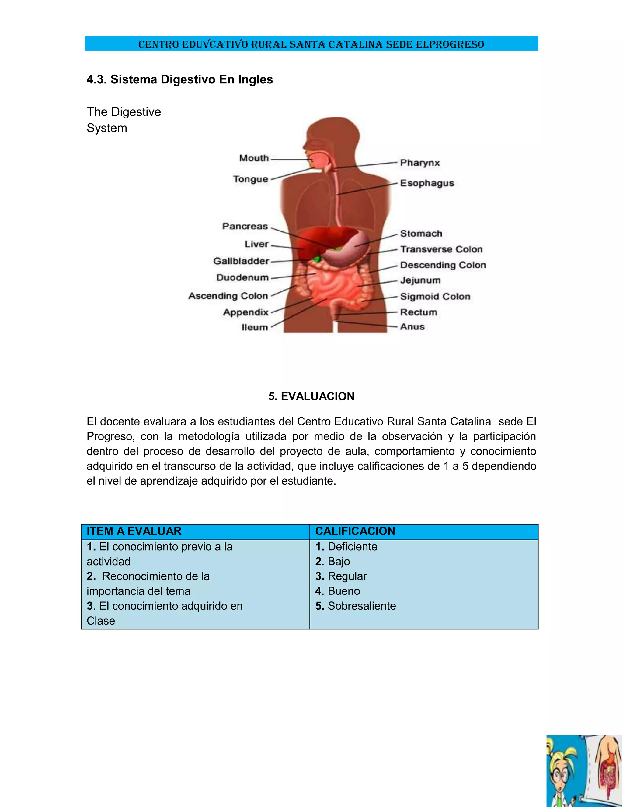 CENTRO EDUVCATIVO RURAL SANTA CATALINA SEDE ELPROGRESO

4.3. Sistema Digestivo En Ingles
The Digestive
System

5. EVALUACION
El docente evaluara a los estudiantes del Centro Educativo Rural Santa Catalina sede El
Progreso, con la metodología utilizada por medio de la observación y la participación
dentro del proceso de desarrollo del proyecto de aula, comportamiento y conocimiento
adquirido en el transcurso de la actividad, que incluye calificaciones de 1 a 5 dependiendo
el nivel de aprendizaje adquirido por el estudiante.

ITEM A EVALUAR
1. El conocimiento previo a la
actividad
2. Reconocimiento de la
importancia del tema
3. El conocimiento adquirido en
Clase

CALIFICACION
1. Deficiente
2. Bajo
3. Regular
4. Bueno
5. Sobresaliente

 