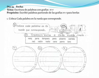 Día 19 Fecha:
Tema: Escritura de palabras con grafías rr-r
Propósito: Escribir palabras partiendo de las grafías rr-r para leerlas
1. Coloca Cada palabra en la rueda que corresponde.
 