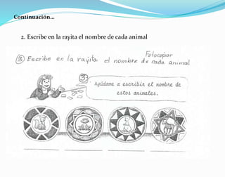 Continuación…
2. Escribe en la rayita el nombre de cada animal
 