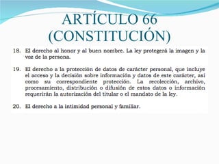 ARTÍCULO 66 (CONSTITUCIÓN) 