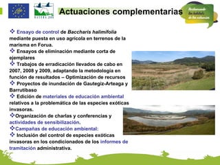 Actuaciones complementarias

 Ensayo de control de Baccharis halimifolia
mediante puesta en uso agrícola en terrenos de la
marisma en Forua.
 Ensayos de eliminación mediante corta de
ejemplares
 Trabajos de erradicación llevados de cabo en
2007, 2008 y 2009, adaptando la metodología en
función de resultados – Optimización de recursos
 Proyectos de inundación de Gautegiz-Arteaga y
Barrutibaso
 Edición de materiales de educación ambiental
relativos a la problemática de las especies exóticas
invasoras.
Organización de charlas y conferencias y
actividades de sensibilización.
Campañas de educación ambiental:
 Inclusión del control de especies exóticas
invasoras en los condicionados de los informes de
tramitación administrativa.
 