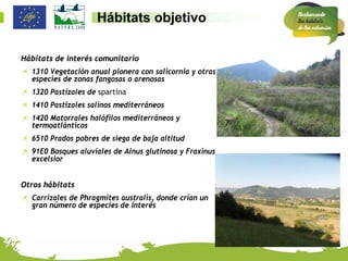 Hábitats objetivo

Hábitats de interés comunitario
 1310 Vegetación anual pionera con salicornia y otras
  especies de zonas fangosas o arenosas
 1320 Pastizales de spartina
 1410 Pastizales salinos mediterráneos
 1420 Matorrales halófilos mediterráneos y
  termoatlánticos
 6510 Prados pobres de siega de baja altitud
 91E0 Bosques aluviales de Alnus glutinosa y Fraxinus
  excelsior


Otros hábitats
 Carrizales de Phragmites australis, donde crían un
  gran número de especies de interés
 