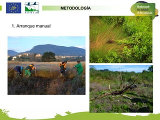 METODOLOGÍA



1. Arranque manual
 