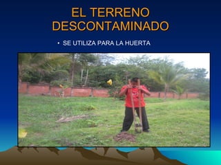 EL TERRENO DESCONTAMINADO SE UTILIZA PARA LA HUERTA 