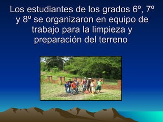 Los estudiantes de los grados 6º, 7º y 8º se organizaron en equipo de trabajo para la limpieza y preparación del terreno  