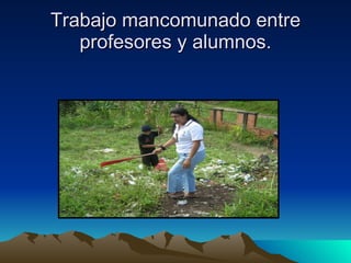 Trabajo mancomunado entre profesores y alumnos. 