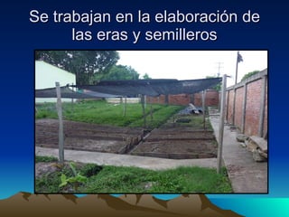 Se trabajan en la elaboración de las eras y semilleros 
