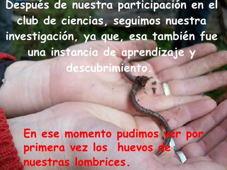Las medicinas contra los parásitos al embarazo