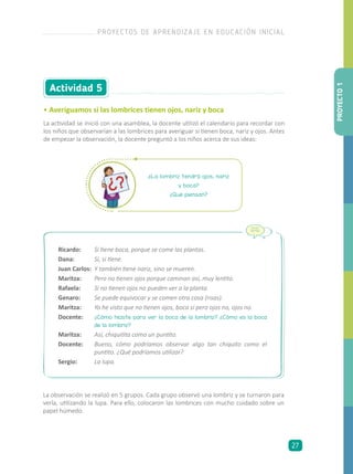 Actividad 5
• Averiguamos si las lombrices tienen ojos, nariz y boca
La actividad se inició con una asamblea, la docente utilizó el calendario para recordar con
los niños que observarían a las lombrices para averiguar si tienen boca, nariz y ojos. Antes
de empezar la observación, la docente preguntó a los niños acerca de sus ideas:
¿La lombriz tendrá ojos, nariz
y boca?
¿Qué piensan?
Ricardo:	 Sí tiene boca, porque se come las plantas.
Dana:	 Sí, si tiene.
Juan Carlos:	 Y también tiene nariz, sino se mueren.
Maritza:	 Pero no tienen ojos porque caminan así, muy lentito.
Rafaela:	 Si no tienen ojos no pueden ver a la planta.
Genaro:	 Se puede equivocar y se comen otra cosa (risas).
Maritza:	 Yo he visto que no tienen ojos, boca sí pero ojos no, ojos no.
Docente:	 ¿Cómo hiciste para ver la boca de la lombriz? ¿Cómo es la boca
de la lombriz?
Maritza:	 Así, chiquitita como un puntito.
Docente:	 Bueno, cómo podríamos observar algo tan chiquito como el
puntito. ¿Qué podríamos utilizar?
Sergio:	 La lupa.
La observación se realizó en 5 grupos. Cada grupo observó una lombriz y se turnaron para
verla, utilizando la lupa. Para ello, colocaron las lombrices con mucho cuidado sobre un
papel húmedo.
PROYECTO1
PROYECTOS DE APRENDIZAJE EN EDUCACIÓN INICIAL
27
 