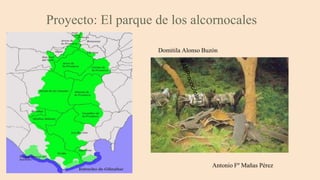 Proyecto: El parque de los alcornocales
Análisis Proyecto para ABPmooc
Antonio Fº Mañas Pérez
Domitila Alonso Buzón
 