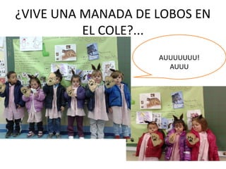 ¿VIVE UNA MANADA DE LOBOS EN
EL COLE?...
AUUUUUUU!
AUUU