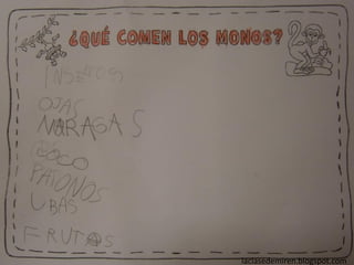 laclasedemiren.blogspot.com
 