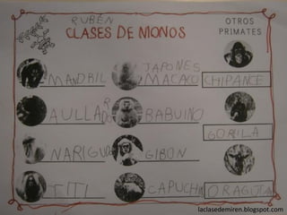 laclasedemiren.blogspot.com
 