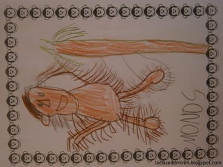 laclasedemiren.blogspot.com
 