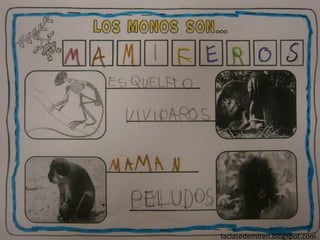 laclasedemiren.blogspot.com
 