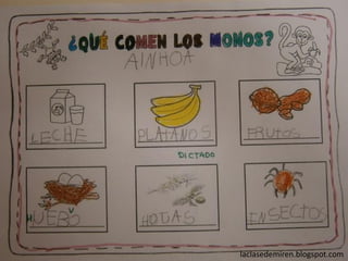 laclasedemiren.blogspot.com
 