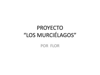 PROYECTO
“LOS MURCIÉLAGOS”
     POR FLOR
 