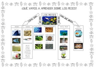 ¿QUÉ VAMOS A APRENDER SOBRE LOS PECES?

                                         LOS PECES


 TIENEN        NACEN       OTROS PECES       ANIMALES PEQUEÑOS     EN EL AGUA     COMO
 ALETAS      DE HUEVOS                                                MAR
                                                                                MASCOTAS


                           ALGAS Y PLANTAS     COMIDA INDUSTRIAL
  COLA                                                                RÍO

                                                                                  COMO
                                                                                ALIMENTO
                              PLANCTON         ZOOPLANCTON
ESCAMAS                                                             ACUARIO
                SON DE
                FORMAS
               COLORES
             Y TAMAÑOS
BRANQUIAS    DIFERENTES,                                            PECERA
             Y ALGUNOS
               SON MUY
               CURIOSOS
 