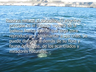 Reserva natural el doradillo:  El atractivo principal es el avistaje costero de la ballena franca austral que llega para reproducirse y amamantar a sus crías. Se puede disfrutar a demás de su flora y fauna de estepa, de los acantilados y miradores natural es. 