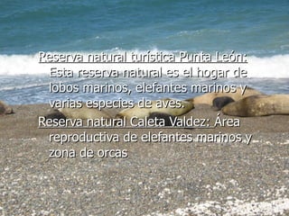 Reserva natural turística Punta León:  Esta reserva natural es el hogar de lobos marinos, elefantes marinos y varias especies de aves. Reserva natural Caleta Valdez:  Área reproductiva de elefantes marinos y zona de orcas 