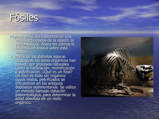Fósiles Páginas atrás, les hablamos de una de las actividades de la región, la paleontología. Ahora les damos la información básica sobre esta ciencia. A través de las distintas épocas geológicas los seres orgánicos han pasado por procesos naturales como la fosilización, momificación o petrificación. ¿Qué es un fósil? Un fósil es todo ser orgánico cuyos restos, petrificados se encuentran en los antiguos depósitos sedimentarios. Se utiliza un método llamado datación paleontológica, para determinar la edad absoluta de un resto orgánico. 