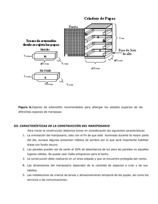 Figura 6.Cajones de estereofòn recomendados para albergar los estados puparios de las
  diferentes especies de mariposas




III. CARACTERÍSTICAS DE LA CONSTRUCCIÓN DEL MARIPOSARIO
        Para iniciar la construcción debemos tomar en consideración las siguientes características:
     1. La orientación del mariposario, esto con el fin de que esté iluminado durante la mayor parte
        del día, aunque algunas presentan hábitos de sombra por lo que será importante habilitar
        áreas con fondo oscuro.
     2. Las paredes pueden ser de zarán al 30% de absorbancia de luz para las paredes en aquellos
        lugares cálidos. Se puede usar malla antigranizo para el techo.
     3. La construcción debe realizarse en un área soleada y que se encuentre protegida del viento.

     4. Las dimensiones del mariposario dependen de la cantidad de especies a criar y de sus
        hábitos.
     5. Las instalaciones de crianza de larvas y almacenamiento temporal de las pupas, así como los
        servicios y las comunicaciones.
 