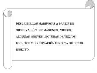 DESCRIBIR LAS MARIPOSAS A PARTIR DE

OBSERVACIÓN DE IMÁGENES, VIDEOS,

ALGUNAS BREVES LECTURAS DE TEXTOS

ESCRITOS Y OBSERVACIÓN DIRECTA DE DICHO

INSECTO.
 