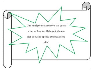 Una mariposa saborea con sus patas

y con su lengua. ¡Sabe cuándo una

flor es buena apenas aterriza sobre

               ella!
 