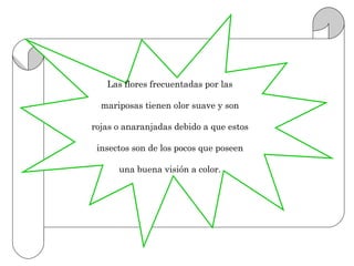 Las flores frecuentadas por las

  mariposas tienen olor suave y son

rojas o anaranjadas debido a que estos

 insectos son de los pocos que poseen

      una buena visión a color.
 