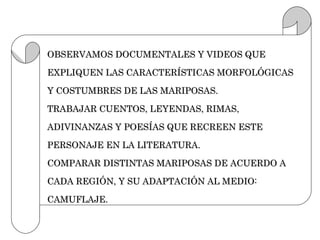 OBSERVAMOS DOCUMENTALES Y VIDEOS QUE

EXPLIQUEN LAS CARACTERÍSTICAS MORFOLÓGICAS

Y COSTUMBRES DE LAS MARIPOSAS.

TRABAJAR CUENTOS, LEYENDAS, RIMAS,

ADIVINANZAS Y POESÍAS QUE RECREEN ESTE

PERSONAJE EN LA LITERATURA.

COMPARAR DISTINTAS MARIPOSAS DE ACUERDO A

CADA REGIÓN, Y SU ADAPTACIÓN AL MEDIO:

CAMUFLAJE.
 