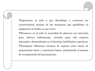 Aproximar al niño a que identifique y reconozca las
características propias de las mariposas que posibilitan su
adaptación al medio en que viven.
Promover en el niño la necesidad de observar con intención
para   obtener   información,   creando   para   ello   espacios
adecuados, desarrollando en él distintas habilidades cognitivas.
Incorporar diferentes técnicas de registro como forma de
proporcionar datos y comunicar logros, permitiendo el proceso
de recomposición del pensamiento.
 