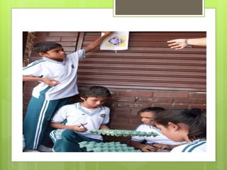 Proyecto ambiental fransemuz