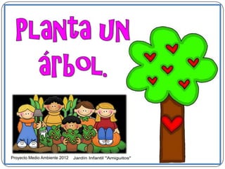 Proyecto medio ambiente 2012