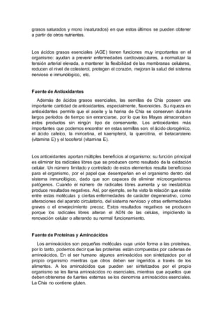 grasos saturados y mono insaturados) en que estos últimos se pueden obtener
a partir de otros nutrientes.
Los ácidos grasos esenciales (AGE) tienen funciones muy importantes en el
organismo: ayudan a prevenir enfermedades cardiovasculares, a normalizar la
tensión arterial elevada, a mantener la flexibilidad de las membranas celulares,
reducen el nivel de colesterol, protegen el corazón, mejoran la salud del sistema
nervioso e inmunológico, etc.
Fuente de Antioxidantes
Además de ácidos grasos esenciales, las semillas de Chía poseen una
importante cantidad de antioxidantes, especialmente, flavonoides. Su riqueza en
antioxidantes permite que el aceite y la harina de Chía se conserven durante
largos períodos de tiempo sin enranciarse, por lo que los Mayas almacenaban
estos productos sin ningún tipo de conservante. Los antioxidantes más
importantes que podemos encontrar en estas semillas son: el ácido clorogénico,
el ácido cafeíco, la miricetina, el kaempferol, la quercitina, el betacaroteno
(vitamina E) y el tocoferol (vitamina E).
Los antioxidantes aportan múltiples beneficios al organismo; su función principal
es eliminar los radicales libres que se producen como resultado de la oxidación
celular. Un número limitado y controlado de estos elementos resulta beneficioso
para el organismo, por el papel que desempeñan en el organismo dentro del
sistema inmunológico, dado que son capaces de eliminar microorganismos
patógenos. Cuando el número de radicales libres aumenta y se inestabiliza
produce resultados negativos. Así, por ejemplo, se ha visto la relación que existe
entre estas moléculas y ciertas enfermedades de carácter degenerativo, como
alteraciones del aparato circulatorio, del sistema nervioso y otras enfermedades
graves o el envejecimiento precoz. Estos resultados negativos se producen
porque los radicales libres alteran el ADN de las células, impidiendo la
renovación celular o alterando su normal funcionamiento.
Fuente de Proteínas y Aminoácidos
Los aminoácidos son pequeñas moléculas cuya unión forma a las proteínas,
por lo tanto, podemos decir que las proteínas están compuestas por cadenas de
aminoácidos. En el ser humano algunos aminoácidos son sintetizados por el
propio organismo mientras que otros deben ser ingeridos a través de los
alimentos. A los aminoácidos que pueden ser sintetizados por el propio
organismo se les llama aminoácidos no esenciales, mientras que aquellos que
deben obtenerse de fuentes externas se los denomina aminoácidos esenciales.
La Chía no contiene gluten.
 