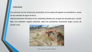 CÁRCAVAS
Las cárcavas son los socavones producidos en los suelos de lugares con pendiente a causa
de las avenidas de agua de lluvia.
Abarrancamientos formados en los materiales blandos por el agua de arroyada que, cuando
falta una cobertera vegetal suficiente, ataca las pendientes excavando largos surcos de
bordes vivos.
Foto 1: Cárcavas en suelos Arcillosos.
 