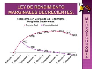 0
2000
3000
3500
3800 3900 3900
3650
3200
2000
1000
500 300 100 0
-250 -450
Representación Grafica de los Rendimiento
Marginales Decrecientes
Producto Total Producto Marginal
 