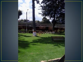 Proyecto. Mi Querido Viejo