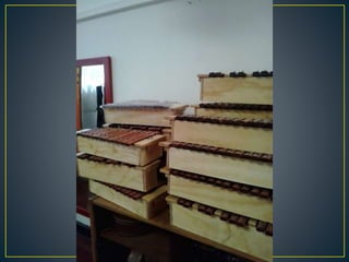 Proyecto. Mi Querido Viejo