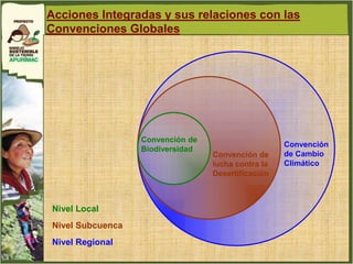Acciones Integradas y sus relaciones con las
Convenciones Globales




                  Convención de
                                                    Convención
                  Biodiversidad
                                  Convención de     de Cambio
                                  lucha contra la   Climático
                                  Desertificación



Nivel Local
Nivel Subcuenca
Nivel Regional
 