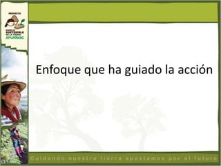 Enfoque que ha guiado la acción
 