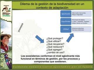 Dilema de la gestión de la biodiversidad en un
           contexto de adaptación
                                                   •Más niveles intervenidos
                                   Aglutinación    •Mayor integralidad


                                                   •Priorización de objetos
                                   Especificidad   • “clave”, “sombrilla”, “bandera”
                                                   •Mayor relación con hombre


                                                   •Sistemas productivos
                                     Utilidad      •Servicios ambientales




                      ¿Qué proteger?
                      ¿Qué utilizar?
                      ¿Qué recuperar?
                      ¿Qué restaurar?
                      ¿Qué agregar?
                      ¿cambio de uso?
Los ecosistemas conforman el nivel aglutinante más
funcional en términos de gestión, por los procesos y
            componentes que sostienen.
 